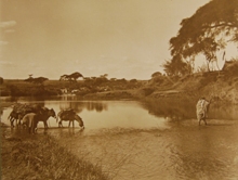 Robert Stordy's account from Nairobi to the Red Sea