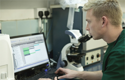 Vet looking at computer screen