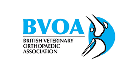 BVOA logo