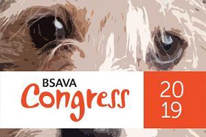 BSAVA Congress 2019