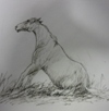 John Roalfe Cox illustration of a horse