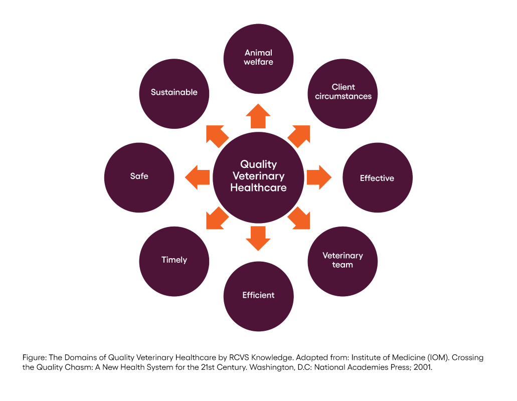 The Domains of Quality Improvement by RCVS Knowledge
