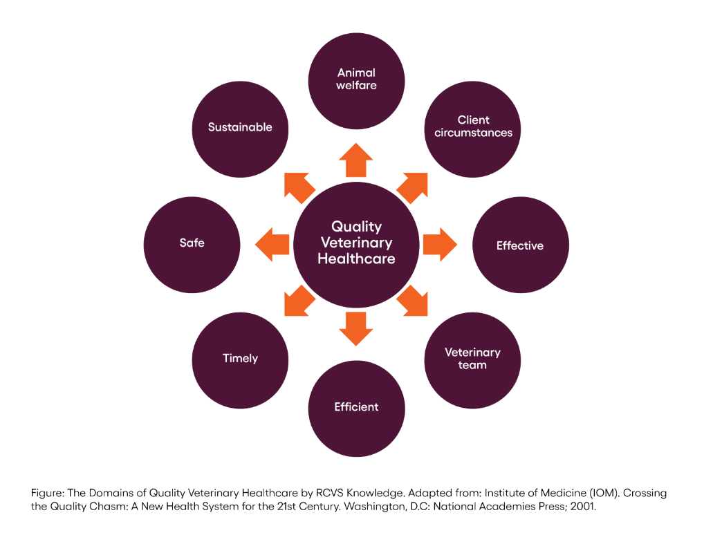 Domains of quality veterinary healthcare