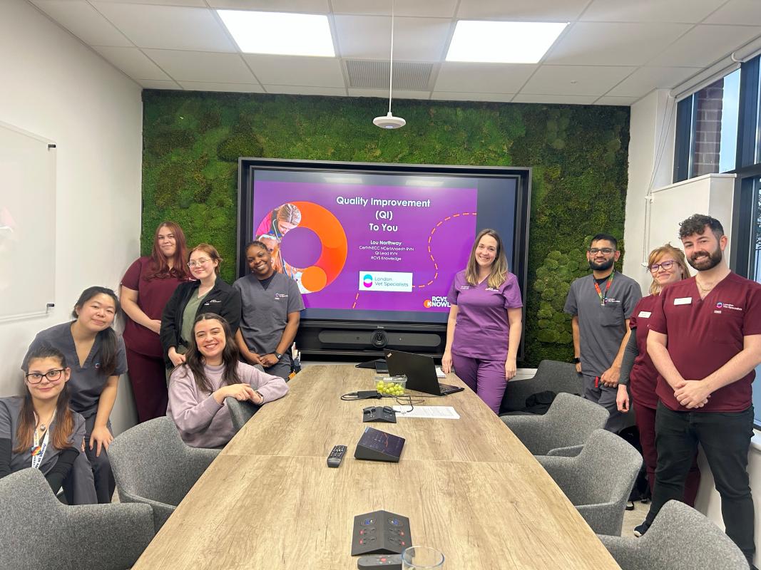 Group of veterinary professionals in a room in front of a screen