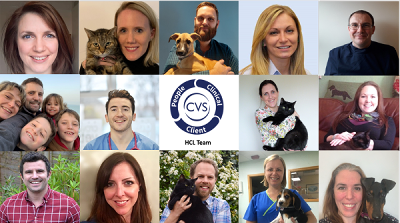 CVS Small animal team
