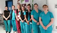 Paragon Veterinary Referrals Team