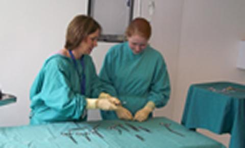 Image of veterinary nurses at college practical facility