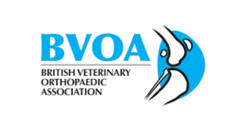 BVOA Logo