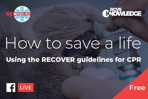 Image promoting the event How to save a life