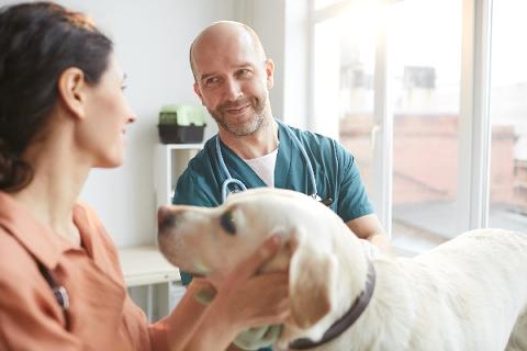 Vet with client and patient