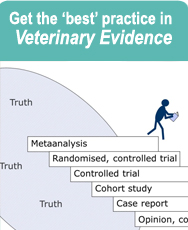 Veterinary Evidence best practice